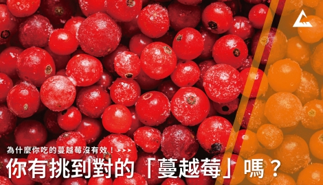 為什麼你吃的蔓越莓沒有效！你有挑到對的「蔓越莓」嗎？